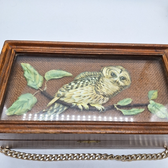 Vintage‎ Wood Box with Realistic Owl Behind Glass - Picture 2 of 7